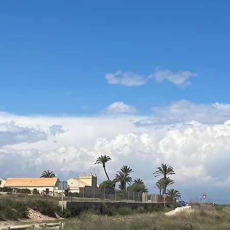 Petirrojo * Santa Pola