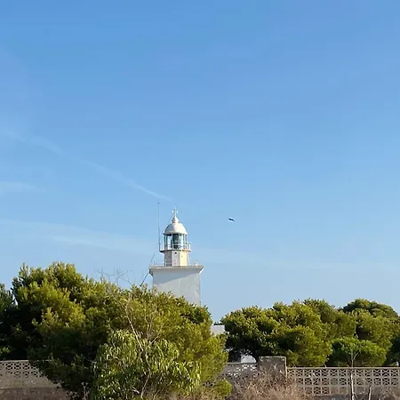Petirrojo * Santa Pola