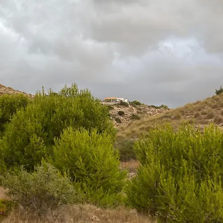 Petirrojo Santa Pola