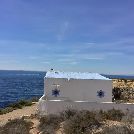 Petirrojo
