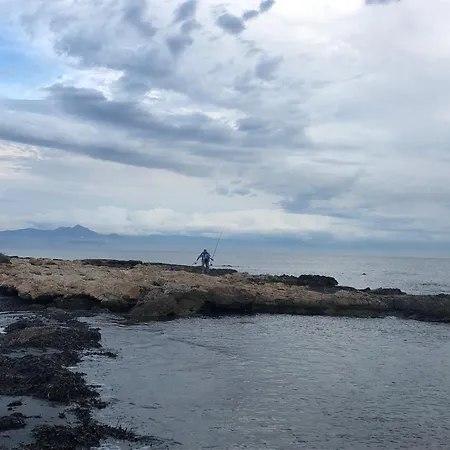 Petirrojo Santa Pola