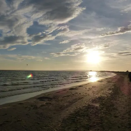 Petirrojo * Santa Pola